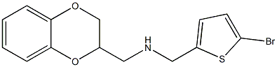 [(5-bromothiophen-2-yl)methyl](2,3-dihydro-1,4-benzodioxin-2-ylmethyl)amine 구조식 이미지