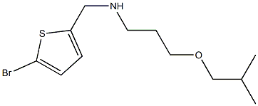 [(5-bromothiophen-2-yl)methyl][3-(2-methylpropoxy)propyl]amine 구조식 이미지