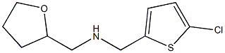 [(5-chlorothiophen-2-yl)methyl](oxolan-2-ylmethyl)amine Structure