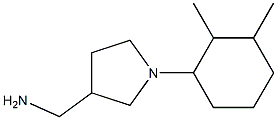 [1-(2,3-dimethylcyclohexyl)pyrrolidin-3-yl]methylamine Structure