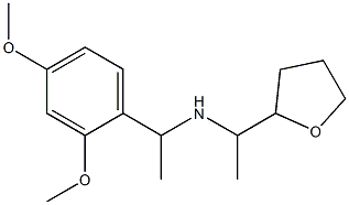 [1-(2,4-dimethoxyphenyl)ethyl][1-(oxolan-2-yl)ethyl]amine Structure