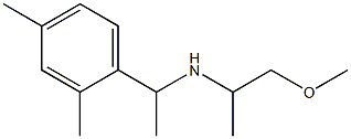 [1-(2,4-dimethylphenyl)ethyl](1-methoxypropan-2-yl)amine 구조식 이미지