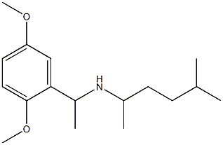 [1-(2,5-dimethoxyphenyl)ethyl](5-methylhexan-2-yl)amine 구조식 이미지