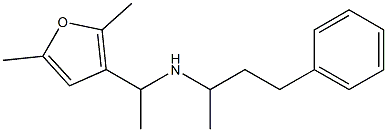 [1-(2,5-dimethylfuran-3-yl)ethyl](4-phenylbutan-2-yl)amine Structure