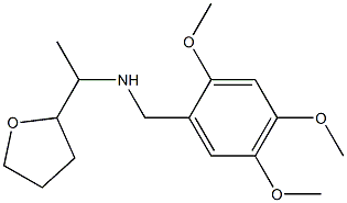 [1-(oxolan-2-yl)ethyl][(2,4,5-trimethoxyphenyl)methyl]amine 구조식 이미지