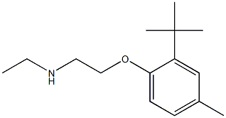 [2-(2-tert-butyl-4-methylphenoxy)ethyl](ethyl)amine Structure