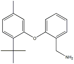 [2-(2-tert-butyl-5-methylphenoxy)phenyl]methanamine 구조식 이미지