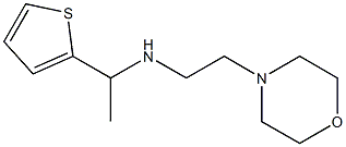 [2-(morpholin-4-yl)ethyl][1-(thiophen-2-yl)ethyl]amine 구조식 이미지
