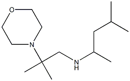 [2-methyl-2-(morpholin-4-yl)propyl](4-methylpentan-2-yl)amine 구조식 이미지