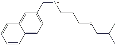 [3-(2-methylpropoxy)propyl](naphthalen-2-ylmethyl)amine Structure