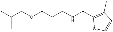 [3-(2-methylpropoxy)propyl][(3-methylthiophen-2-yl)methyl]amine 구조식 이미지