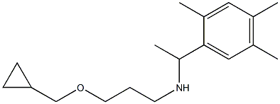 [3-(cyclopropylmethoxy)propyl][1-(2,4,5-trimethylphenyl)ethyl]amine Structure