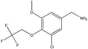 [3-chloro-5-methoxy-4-(2,2,2-trifluoroethoxy)phenyl]methanamine 구조식 이미지