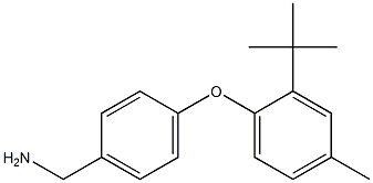 [4-(2-tert-butyl-4-methylphenoxy)phenyl]methanamine 구조식 이미지