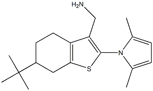 [6-tert-butyl-2-(2,5-dimethyl-1H-pyrrol-1-yl)-4,5,6,7-tetrahydro-1-benzothien-3-yl]methylamine 구조식 이미지