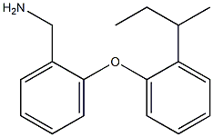 {2-[2-(butan-2-yl)phenoxy]phenyl}methanamine Structure