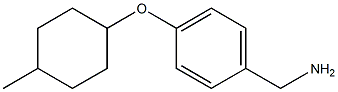 {4-[(4-methylcyclohexyl)oxy]phenyl}methanamine Structure