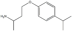 1-(3-aminobutoxy)-4-(propan-2-yl)benzene 구조식 이미지