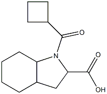1-(cyclobutylcarbonyl)octahydro-1H-indole-2-carboxylic acid 구조식 이미지