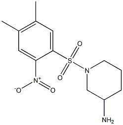 1-[(4,5-dimethyl-2-nitrobenzene)sulfonyl]piperidin-3-amine 구조식 이미지
