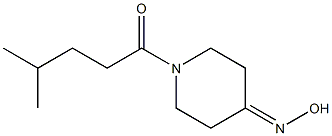 1-[4-(hydroxyimino)piperidin-1-yl]-4-methylpentan-1-one 구조식 이미지