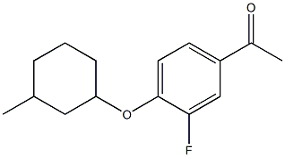 1-{3-fluoro-4-[(3-methylcyclohexyl)oxy]phenyl}ethan-1-one Structure