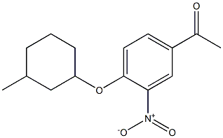 1-{4-[(3-methylcyclohexyl)oxy]-3-nitrophenyl}ethan-1-one 구조식 이미지