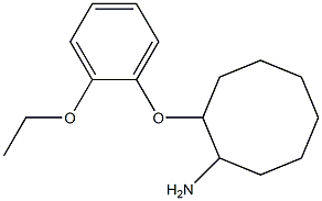 2-(2-ethoxyphenoxy)cyclooctan-1-amine Structure