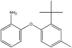 2-(2-tert-butyl-4-methylphenoxy)aniline Structure