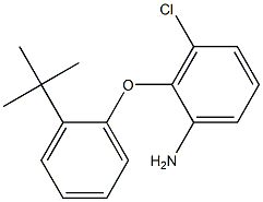 2-(2-tert-butylphenoxy)-3-chloroaniline 구조식 이미지