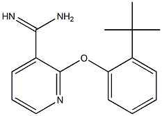 2-(2-tert-butylphenoxy)pyridine-3-carboximidamide 구조식 이미지