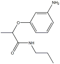 2-(3-aminophenoxy)-N-propylpropanamide 구조식 이미지