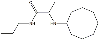 2-(cyclooctylamino)-N-propylpropanamide Structure