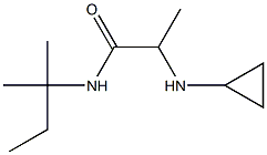 2-(cyclopropylamino)-N-(2-methylbutan-2-yl)propanamide 구조식 이미지