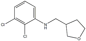 2,3-dichloro-N-(oxolan-3-ylmethyl)aniline 구조식 이미지