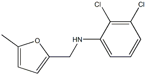 2,3-dichloro-N-[(5-methylfuran-2-yl)methyl]aniline 구조식 이미지
