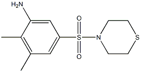 2,3-dimethyl-5-(thiomorpholine-4-sulfonyl)aniline 구조식 이미지