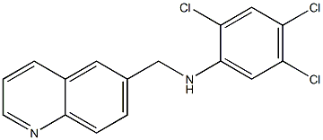 2,4,5-trichloro-N-(quinolin-6-ylmethyl)aniline Structure