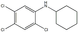 2,4,5-trichloro-N-cyclohexylaniline Structure