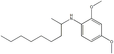 2,4-dimethoxy-N-(nonan-2-yl)aniline 구조식 이미지