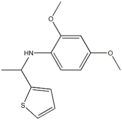 2,4-dimethoxy-N-[1-(thiophen-2-yl)ethyl]aniline 구조식 이미지