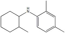 2,4-dimethyl-N-(2-methylcyclohexyl)aniline 구조식 이미지