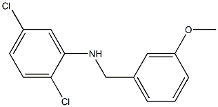 2,5-dichloro-N-[(3-methoxyphenyl)methyl]aniline Structure