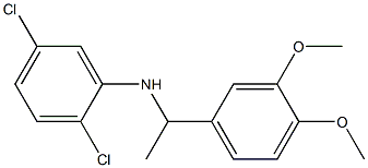 2,5-dichloro-N-[1-(3,4-dimethoxyphenyl)ethyl]aniline Structure