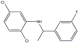2,5-dichloro-N-[1-(3-fluorophenyl)ethyl]aniline Structure
