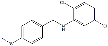 2,5-dichloro-N-{[4-(methylsulfanyl)phenyl]methyl}aniline Structure