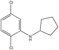 2,5-dichloro-N-cyclopentylaniline 구조식 이미지