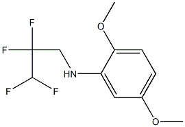 2,5-dimethoxy-N-(2,2,3,3-tetrafluoropropyl)aniline Structure