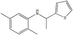 2,5-dimethyl-N-[1-(thiophen-2-yl)ethyl]aniline 구조식 이미지