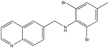 2,6-dibromo-4-methyl-N-(quinolin-6-ylmethyl)aniline 구조식 이미지